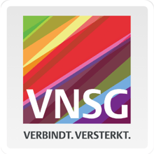 Logo VNSG